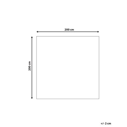 Tapis Épais 200 X 200 Cm Gris Foncé Demre