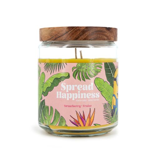 Bougie Parfumée 510g