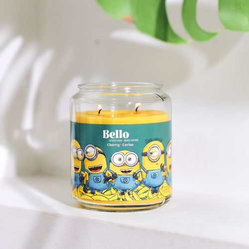 Bougie Parfumée 510g