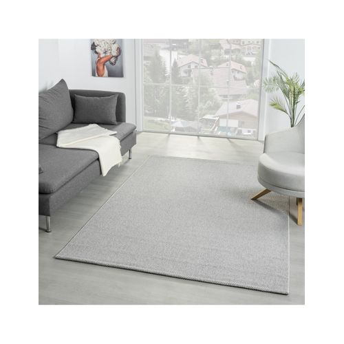 Tapis De Salon Ada Gris, 80x150