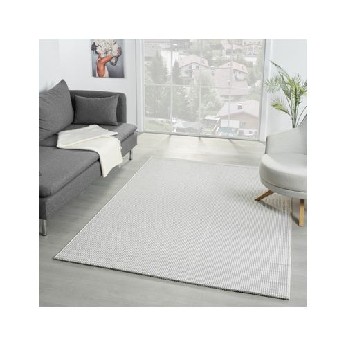 Tapis De Salon Ada Gris/ecru, 80x300