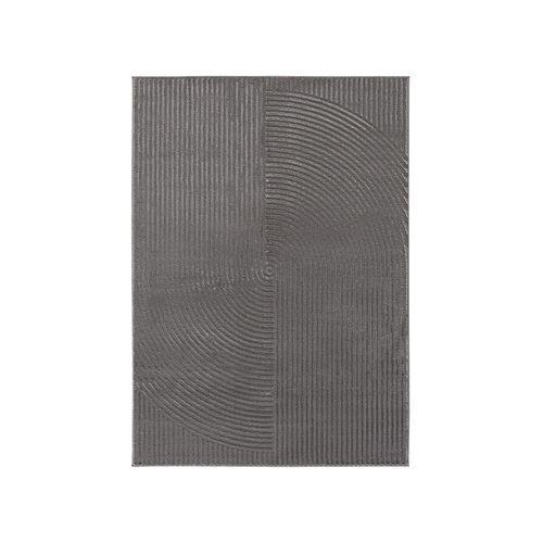 Tapis De Salon Rio 17, 200x290cm, Anthracite