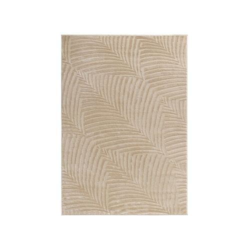 Tapis De Salon Rio 18, 80x300, Beige