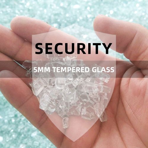 Vitrine En Verre Avec Miroir Et Éclairage LED,2 Portes,4 Étagères,convient Pour Bureau, Salon,noir