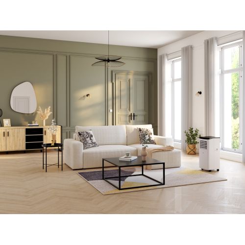 Climatiseur local mobile FAR A019DN2025-W