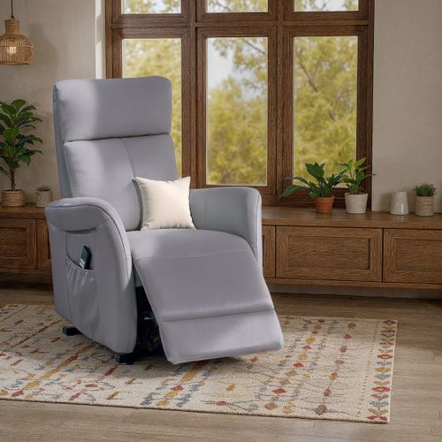 Fauteuil releveur électrique 2 moteurs HAMILTON II cuir et croûte de cuir