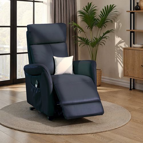 Fauteuil releveur électrique 2 moteurs HAMILTON II cuir et croûte de cuir