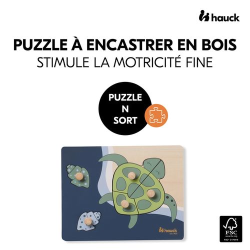 Jouet à Encastrer N Sort Turtle