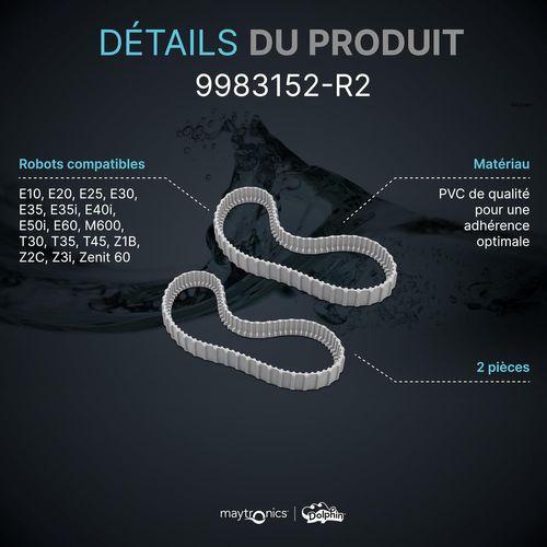 Chenilles De Remplacement Grises (2 Pièces) Pour Dolphin Gamme E Et T - 9983152-r2