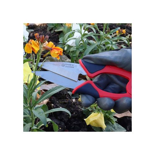 Mini Cisaille Topiaire