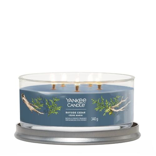 Bougie Signature Cèdre Marin 5 Mèches En Cire