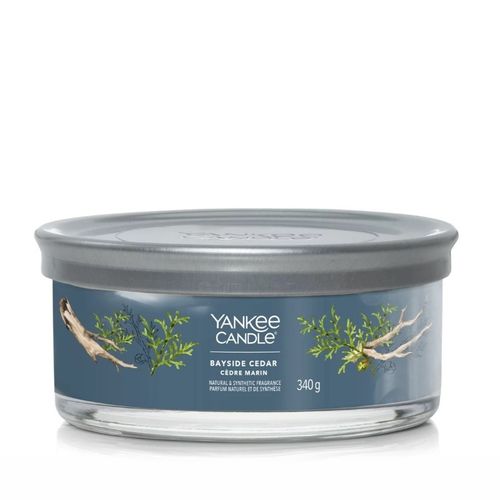 Bougie Signature Cèdre Marin 5 Mèches En Cire