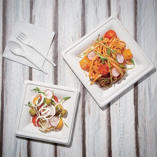 Assiettes Carrées En Bagasse - Lot De 50 -