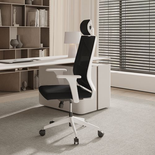 Chaise De Bureau Ergonomique Avec Roulettes Et Accoudoirs - Sembra Noir