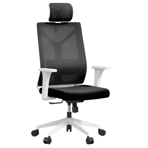 Chaise De Bureau Ergonomique Avec Roulettes Et Accoudoirs - Sembra Noir