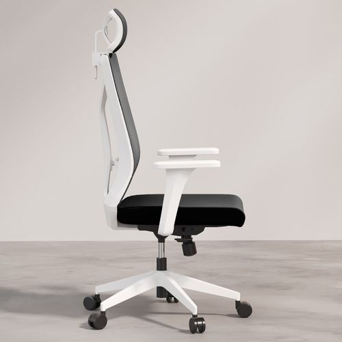 Chaise De Bureau Ergonomique Avec Roulettes Et Accoudoirs - Sembra Noir