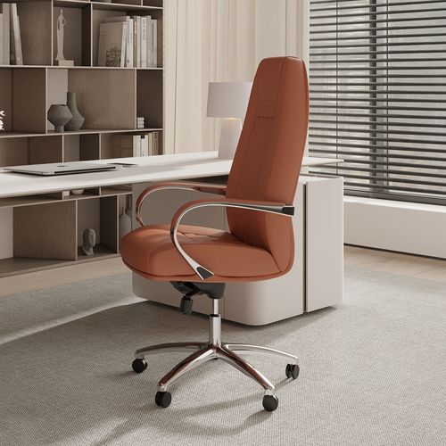 Chaise De Bureau Ergonomique Avec Roulettes Et Accoudoirs - Studio Marron
