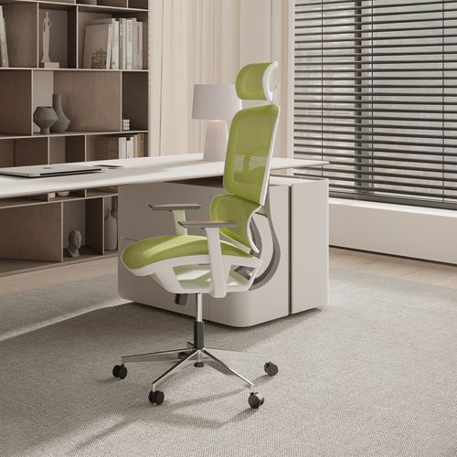 Chaise De Bureau Ergonomique Avec Roulettes Et Accoudoirs - Techas Vert