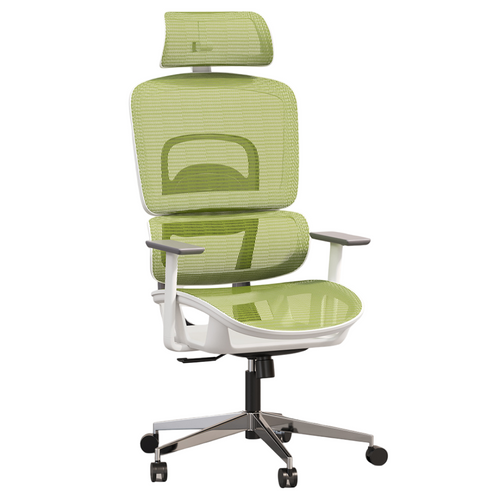 Chaise De Bureau Ergonomique Avec Roulettes Et Accoudoirs - Techas Vert