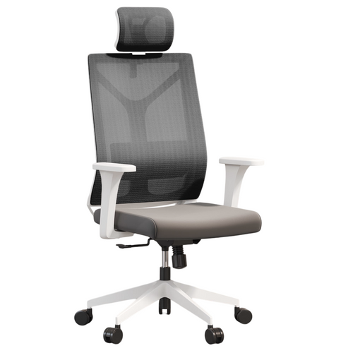 Chaise De Bureau Ergonomique Avec Roulettes Et Accoudoirs - Sembra Gris