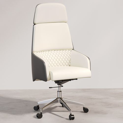 Chaise De Bureau Ergonomique Avec Roulettes Et Accoudoirs - Vista Blanc