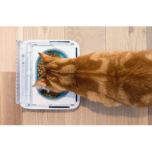 Surefeed Distributeur De Nourriture Pour Chat Anti-odeur - Blanc (livré Avec Un Bol Simple)