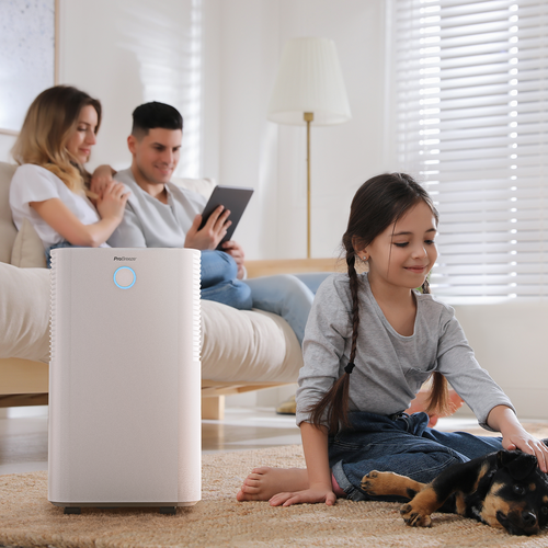 Déshumidificateur Omniwarm 12l/j, Compresseur, Capteur D'humidité Auto, Séchage Du Linge