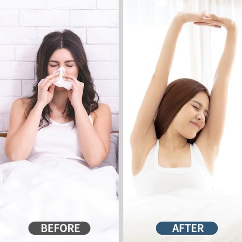 15 ㎡ Purificateur D'air Avec Réservoir D'eau 1.5l, Ecran LED