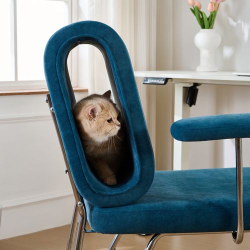 Fauteuil- Chaise Adaptée Aux Animaux De Compagnie - Assise Large - 77×70×89cm - Bleu