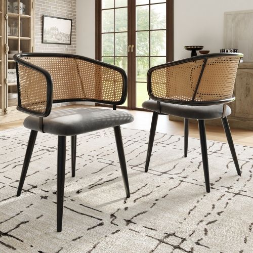2 Chaises De Table-avec Dossier En Rotin-coussins D'assise En Velours-salons Et Cafés-gris
