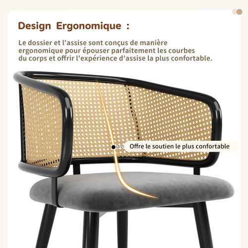 2 Chaises De Table-avec Dossier En Rotin-coussins D'assise En Velours-salons Et Cafés-gris