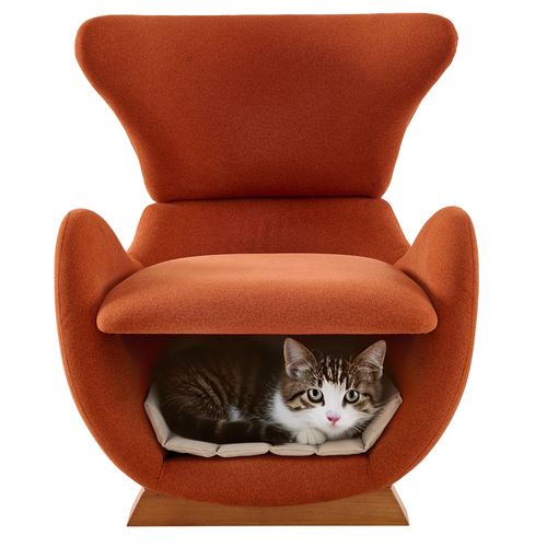 Fauteuil Fixe Avec Trou Pour Chat Orange