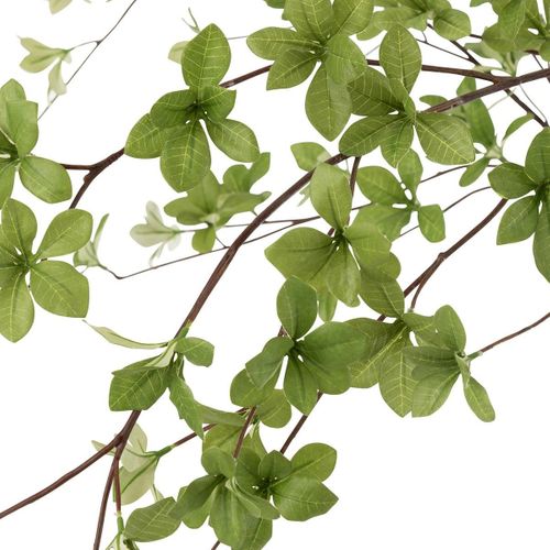 Plante Artificielle "fines Feuilles" 190cm Vert et Noir