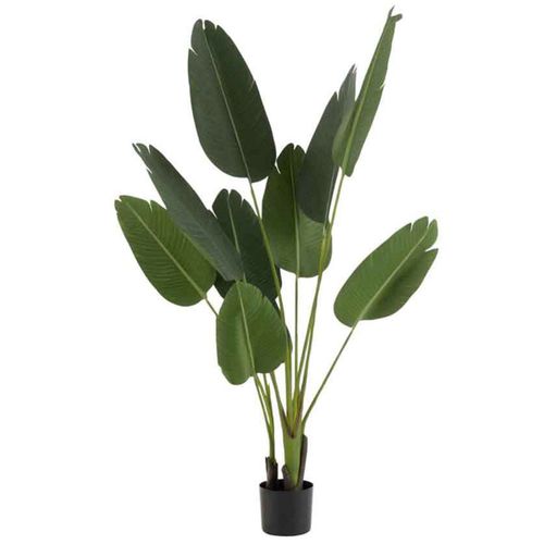Plante Artificielle En Pot "strelitzia" 165cm Vert