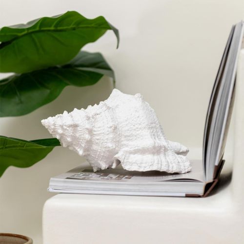 Coquillage Déco "evasion" 25cm Blanc