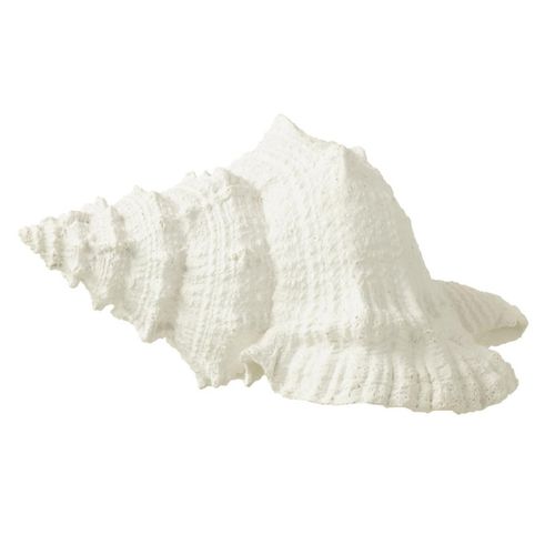 Coquillage Déco "evasion" 25cm Blanc