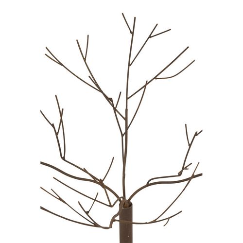 Arbre Déco En Métal "maynard" 75cm Marron