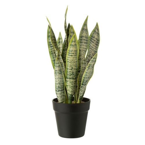 Plante Artificielle En Pot "dracaena Trifasciata" 47cm Vert