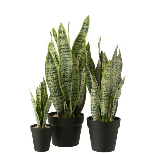 Plante Artificielle En Pot "dracaena Trifasciata" 55cm Vert