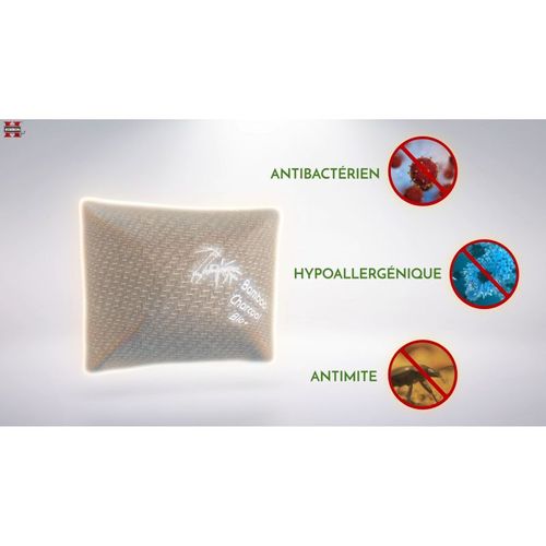 Oreiller Au Charbon De Bambou  Hg6050-bc
