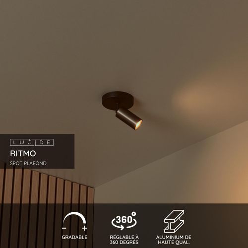Ritmo Spot Plafond - Café - 1xgu10 (mr11)