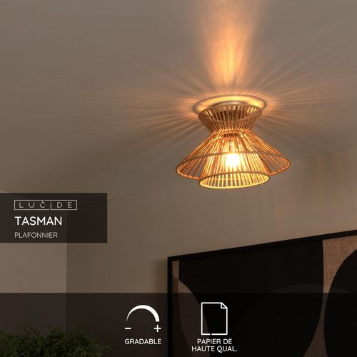 Tasman Plafonnier - Naturel - 1xe27