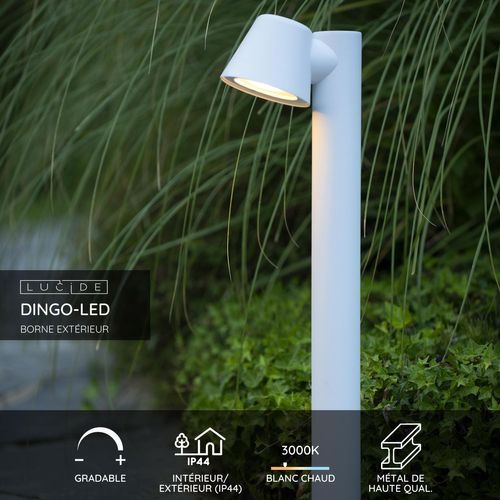Dingo-led Borne Extérieur - Blanc - 1xgu10