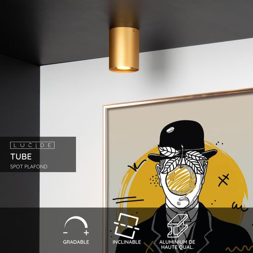 Tube Spot Plafond - Or Mat / Laiton - 1xgu10
