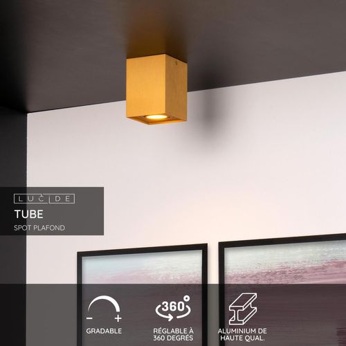 Tube Spot Plafond - Or Mat / Laiton - 1xgu10