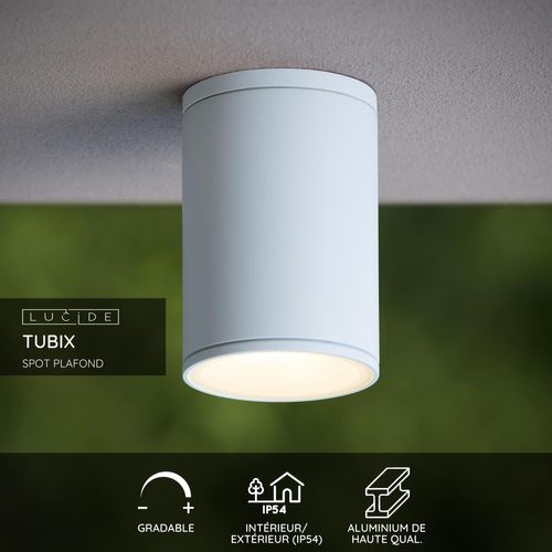 Tubix Spot Plafond - Blanc - 1xe27