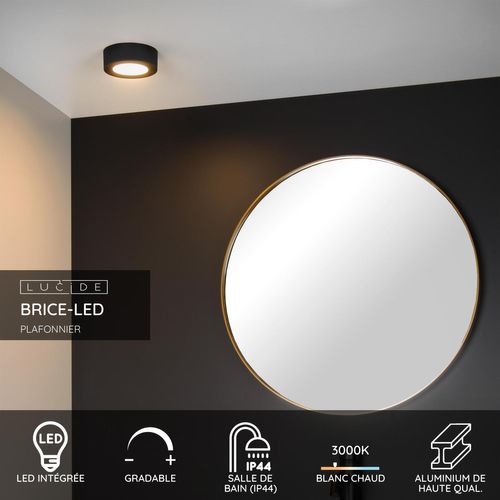 Brice-led Plafonnier - Noir - LED Intégré