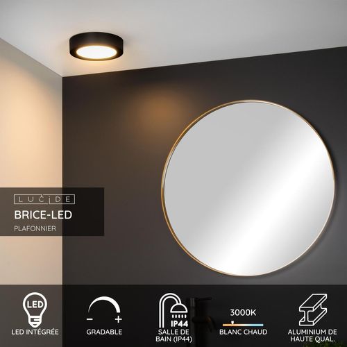 Brice-led Plafonnier - Noir - LED Intégré