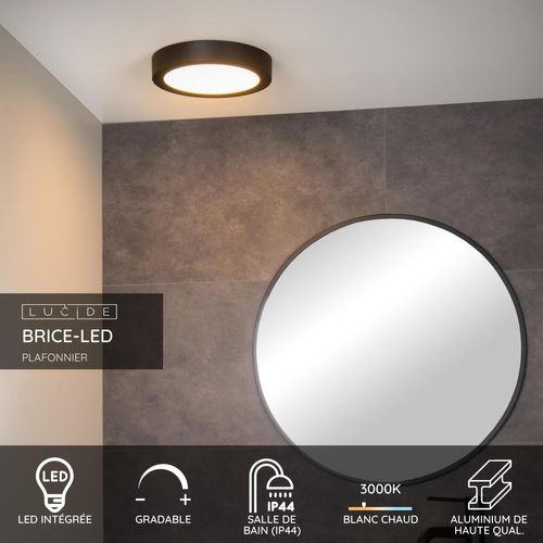 Brice-led Plafonnier - Noir - LED Intégré