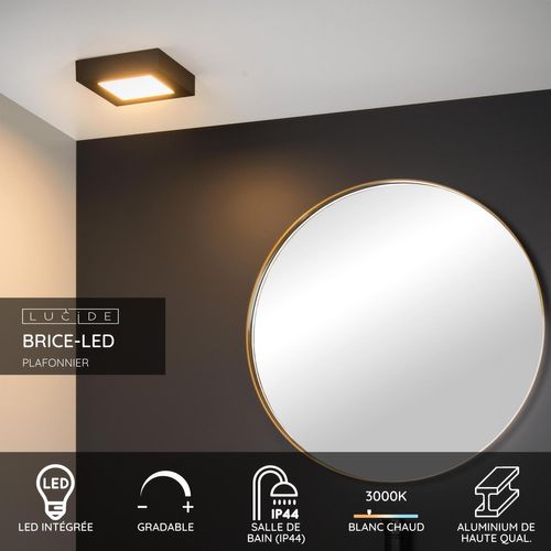 Brice-led Plafonnier - Noir - LED Intégré
